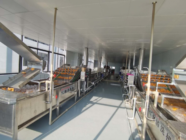 巴氏滅菌流水線